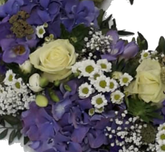 Screenshot_20210805-062312-1-1