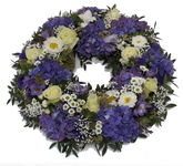 Screenshot_20210805-062312-1