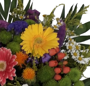 Screenshot_20210806-110504-1-11