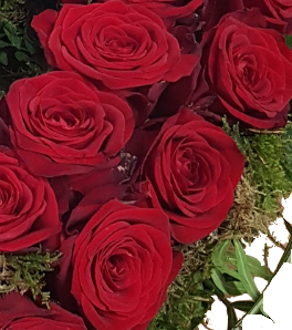 Screenshot_20210809-200044-1-1