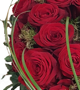 Screenshot_20210809-200044-1-11