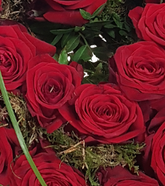 Screenshot_20210809-200044-1-111