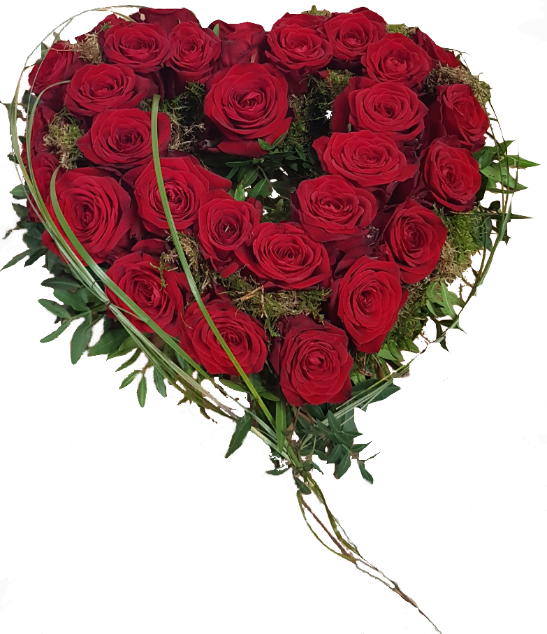 Screenshot_20210809-200044-1