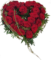 Screenshot_20210809-200044-1