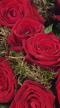 Screenshot_20210809-200050-1-1