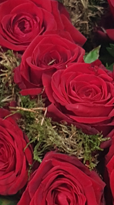 Screenshot_20210809-200050-1-1