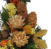 Screenshot_20211008-205032-1-1