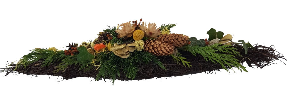 Screenshot_20211008-205045-1-1