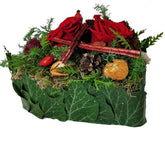 Screenshot_20211020-131031_Gallery-1