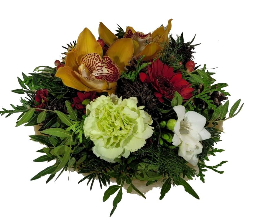 Screenshot_20211028-132557_Gallery-1