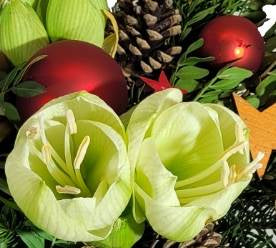 Screenshot_20211029-213223_Gallery-1-1