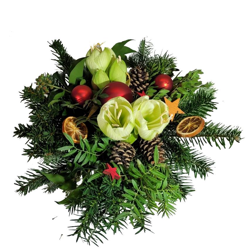 Screenshot_20211029-213223_Gallery-1-Kopie