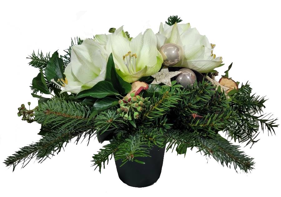 Screenshot_20211101-101123_Gallery-1