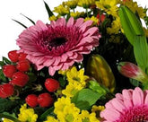 Screenshot_20220129-130255_Gallery-1-1