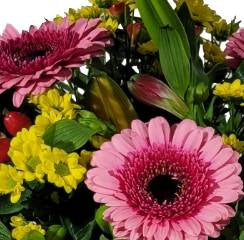 Screenshot_20220129-130300_Gallery-1-1