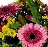 Screenshot_20220129-130300_Gallery-1-1