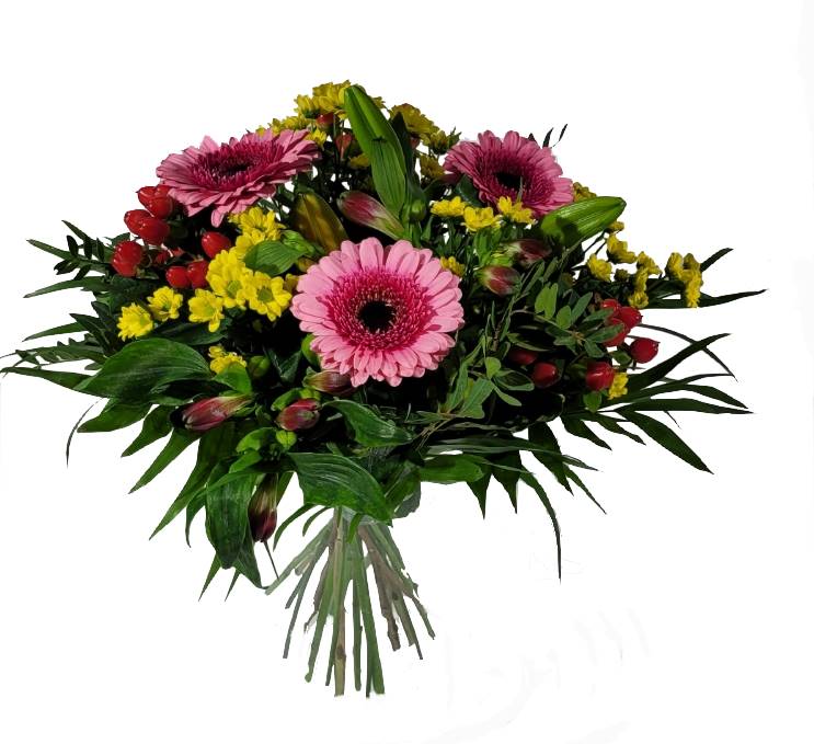 Screenshot_20220129-130300_Gallery-1