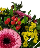 Screenshot_20220129-130433_Gallery-1-1