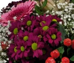 Screenshot_2022021118-11471qqq7_Gallery-1