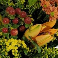 Screenshot_20220218-1122708_Gallery-1