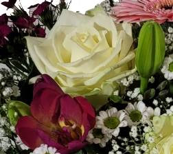 Screenshot_20220222-15424011_Gallery-1
