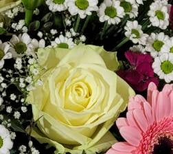 Screenshot_20220222-1542401_Gallery-1