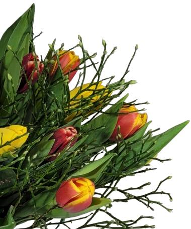 Screenshot_20220315-0950018_Gallery-1