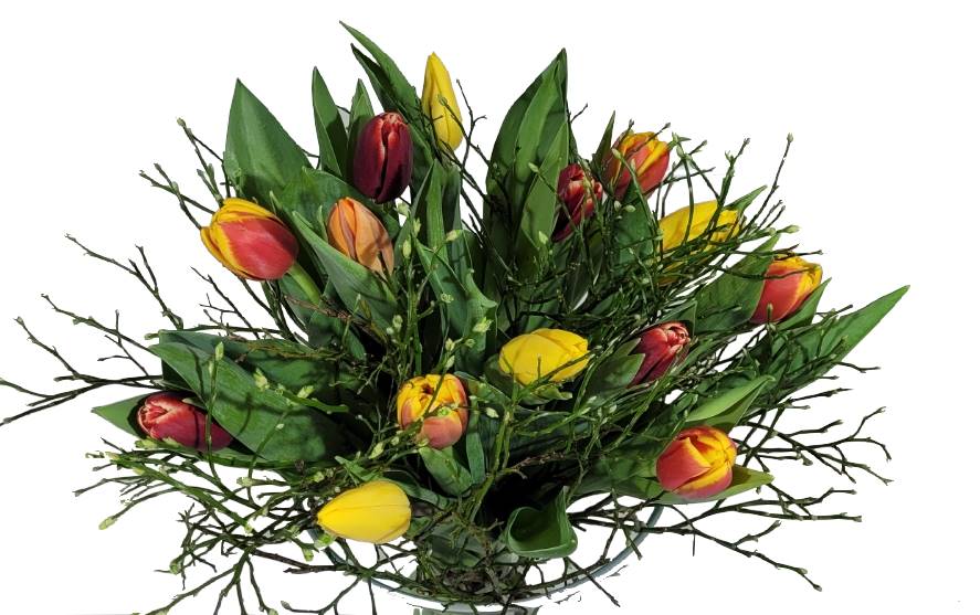 Screenshot_20220315-095039_Gallery-1