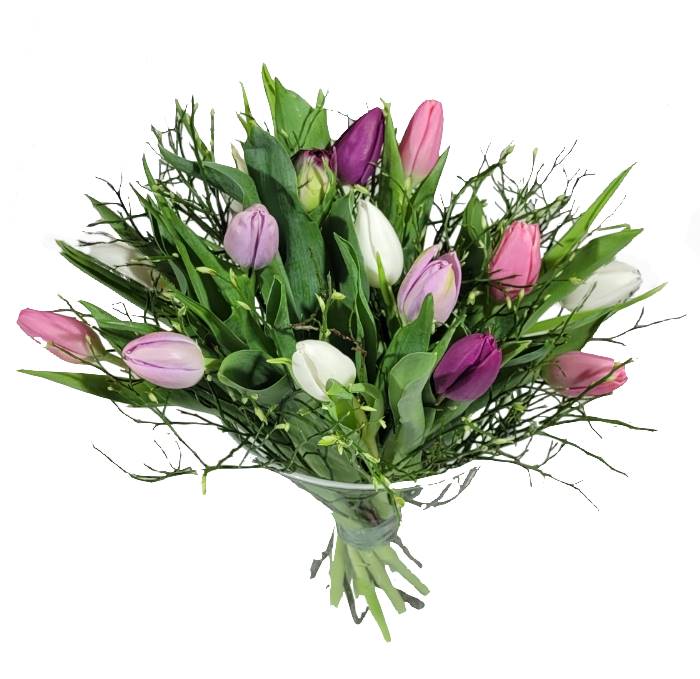 Screenshot_20220315-095105_Gallery-1