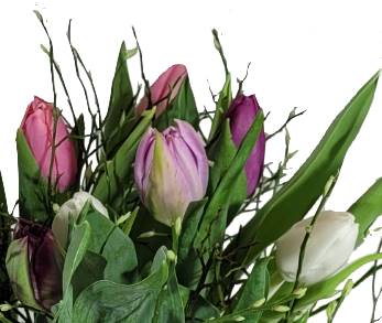 Screenshot_20220315-095156_1Gallery-1