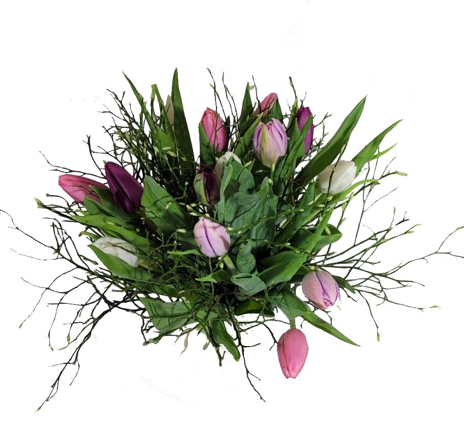 Screenshot_20220315-095156_Gallery-1