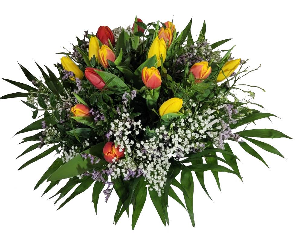 Screenshot_20220315-095325_Gallery-1