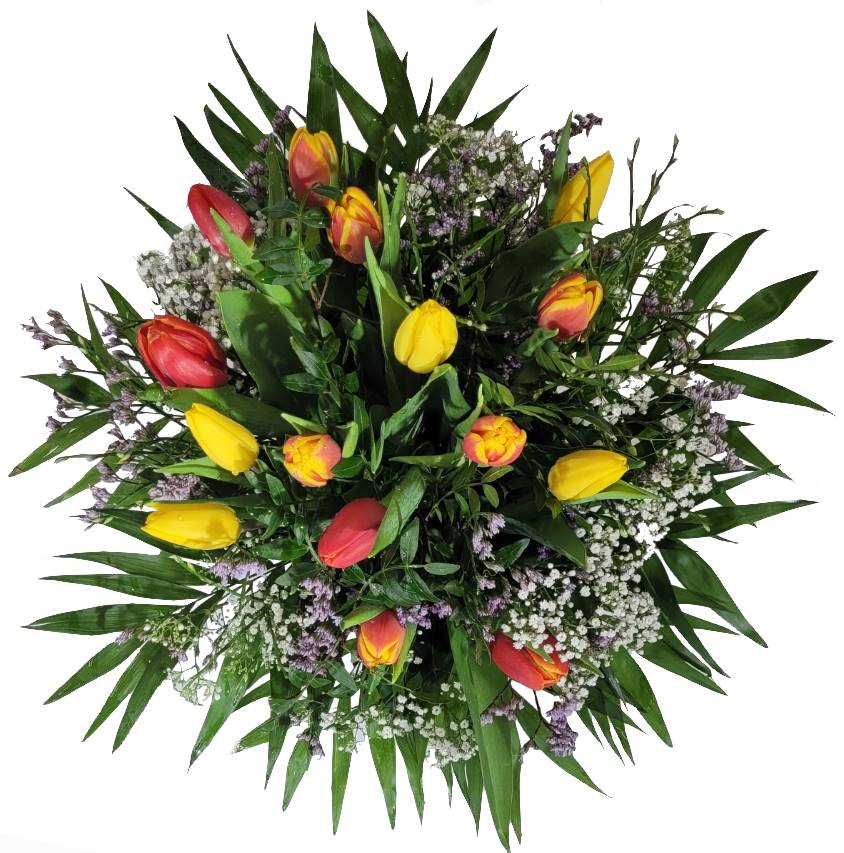 Screenshot_20220315-095512_Gallery-1