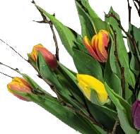 Screenshot_20220315-095532111_Gallery-1