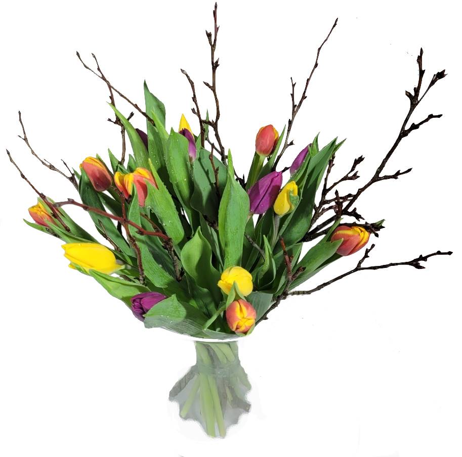 Screenshot_20220315-095548_Gallery-1