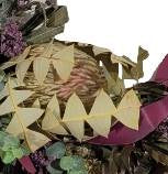 Screenshot_20220323-0194229_Gallery-1