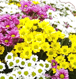 Screenshot_2jhgk0200908-2dg12541-1