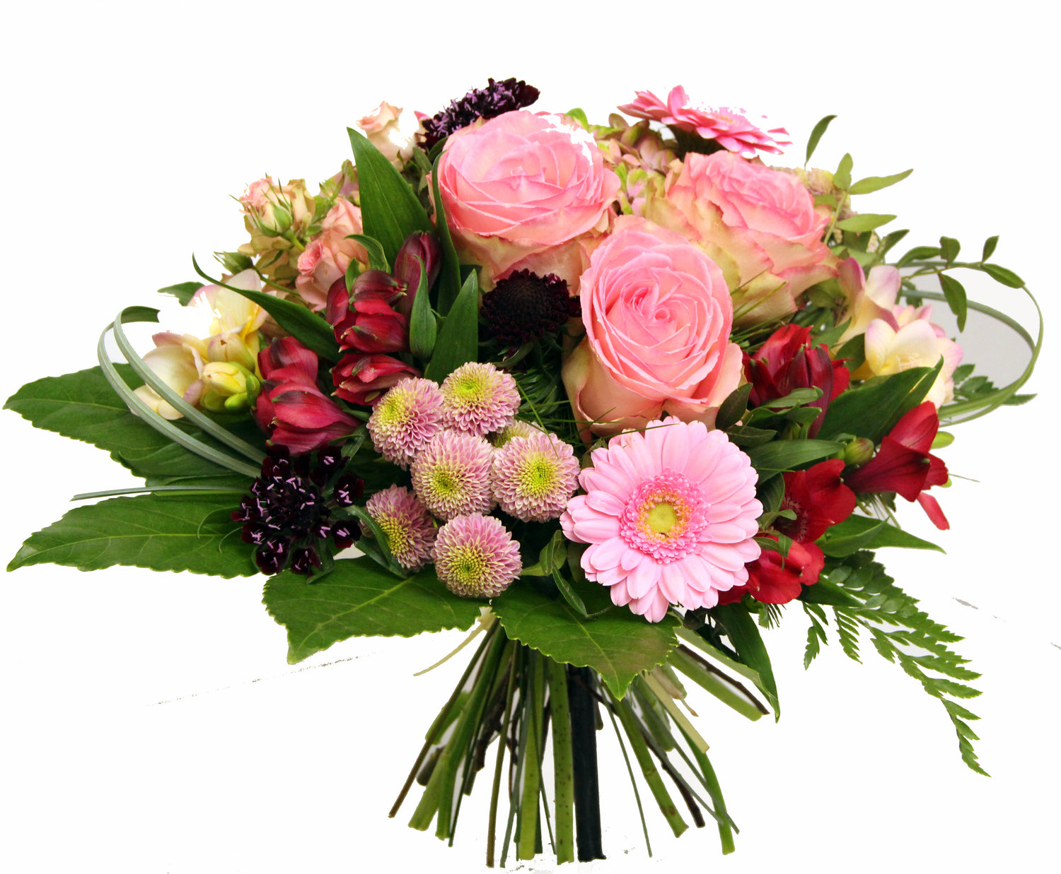 Strauss17_1-FLORATRANS