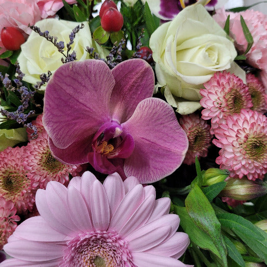 blumenversand mit orchideen