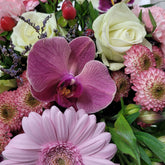 blumenversand mit orchideen