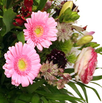 dddddddddhQrhLkq1mfwSP