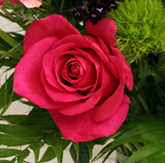 dddddddjsvwUgc2hyViv