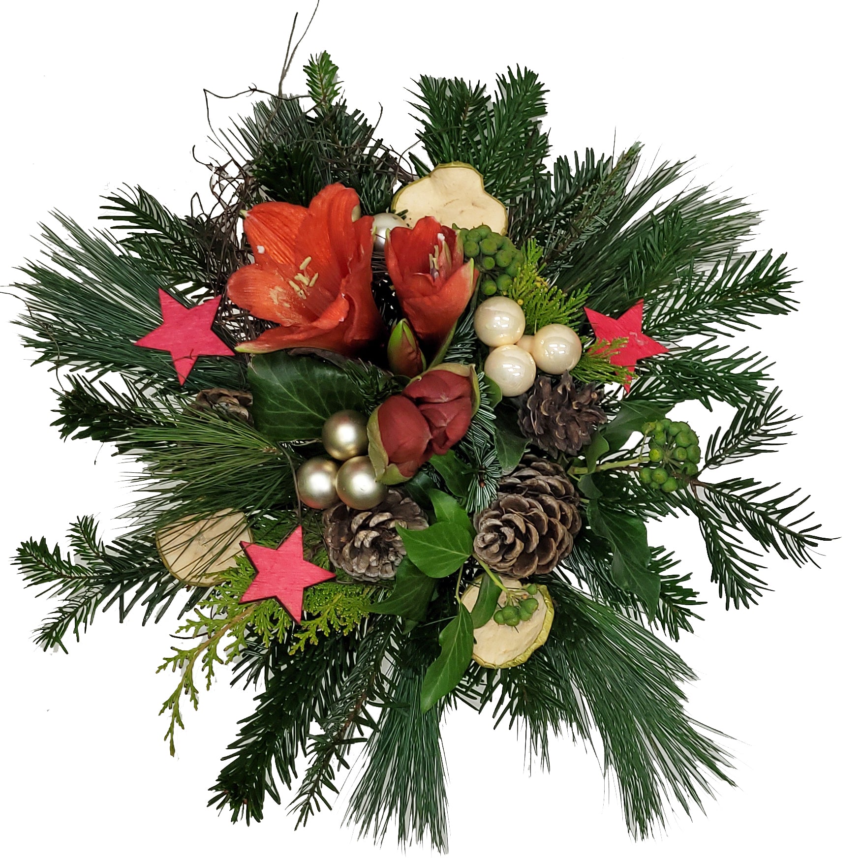 1-20221117_075458-Kopie