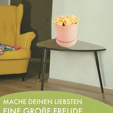 1-Kopie-312323-Kopie1112xv