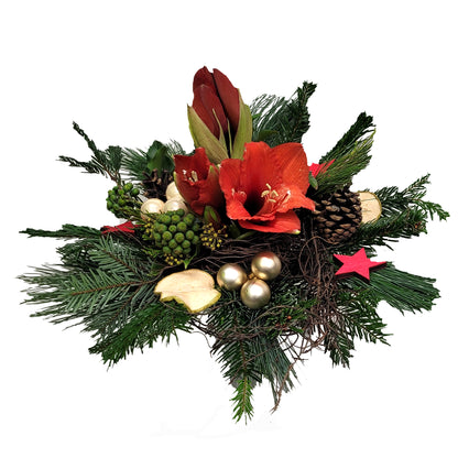 2-20221117_075536-Kopie