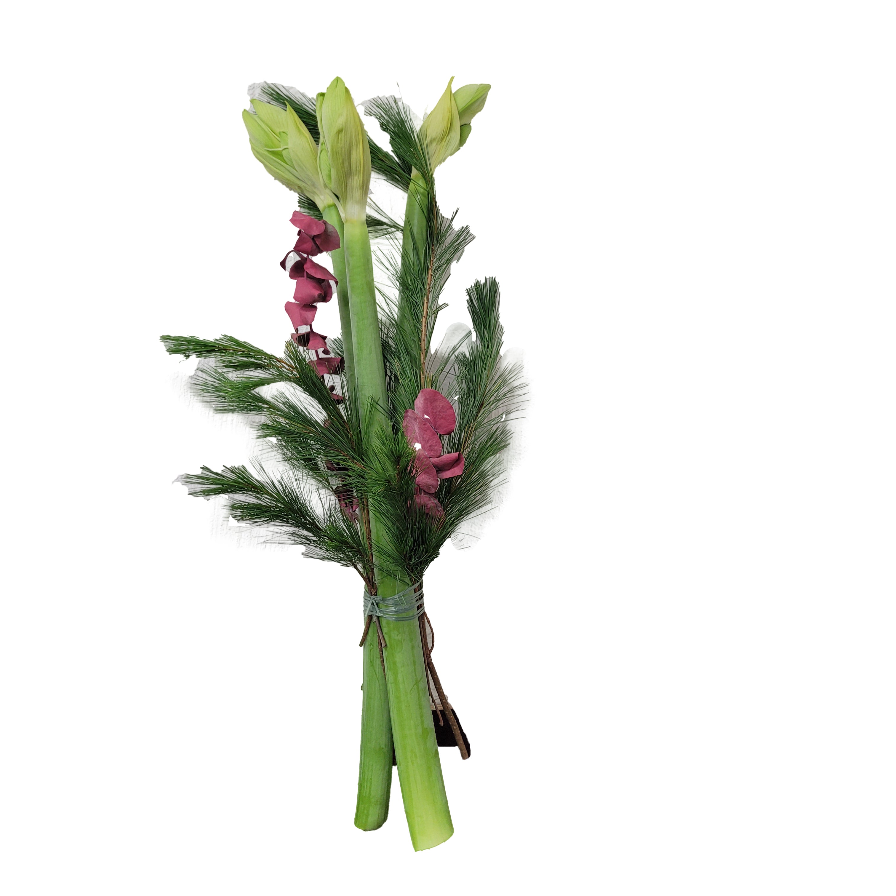 2-20221122_170709-Kopie