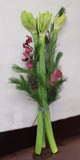 2-20221122_170818-Kopie