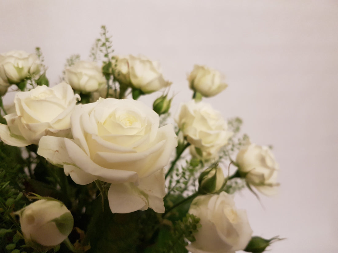 Frischer Rosenstrauß in Weiß - Bestellung unter www.flora-trans.de