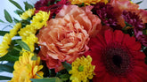 frisch und wunderschön >  ist dieser bunte Blumenstrauß, liebevoll gebunden und verpackt vom Floristen 