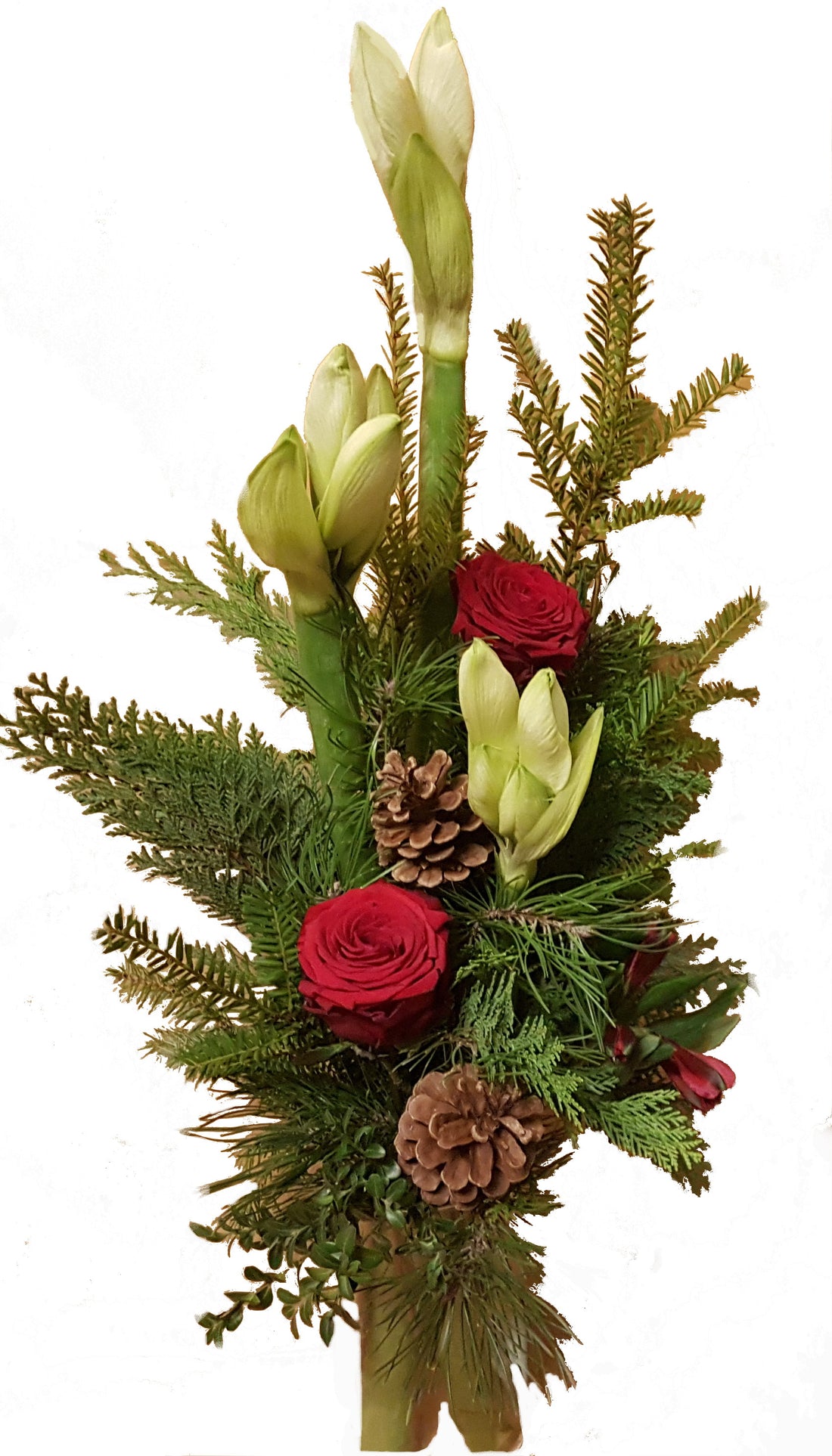 adventlicher Blumenstrauß weiße Amaryllis frisches Grün Rosen in rot zum Advent zu Weihnachten
